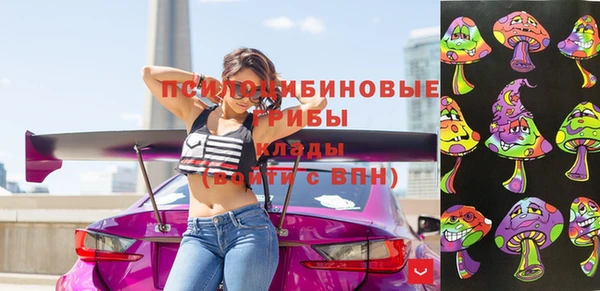 мяу мяу мука Аркадак