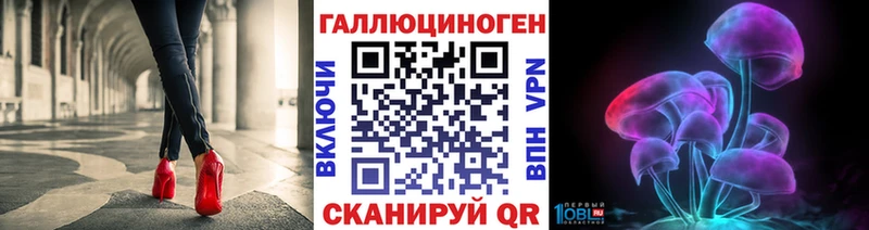 Купить закладки  Нестеров  Псилоцибиновые грибы MAGIC MUSHROOMS 